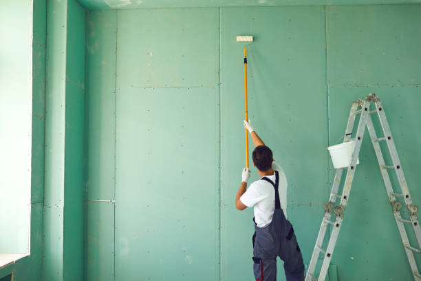 Best Mold Documentation for Insurance Claims  in Rossville, KS