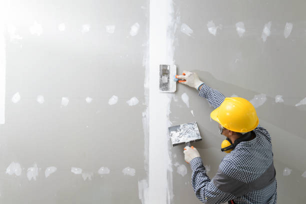 Best Mold Remediation for Healthcare Facilities  in Rossville, KS