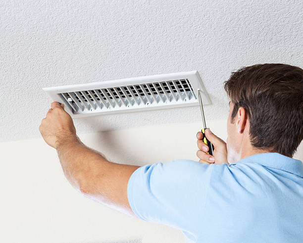 Best Crawl Space Mold Remediation  in Rossville, KS