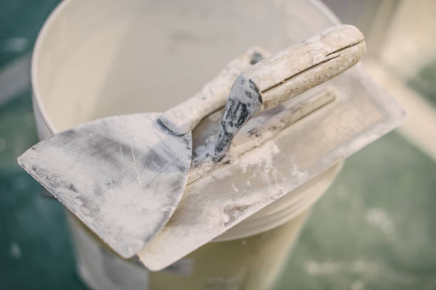 Rossville, KS Mold Removal Company