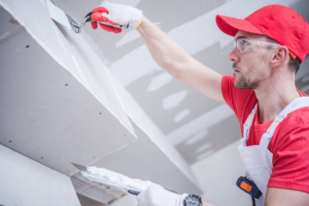 Best Industrial Mold Remediation  in Rossville, KS
